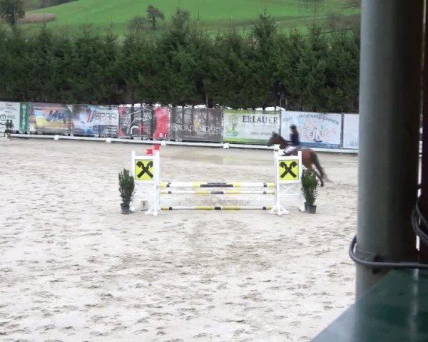 Reitturnier Preding 2024