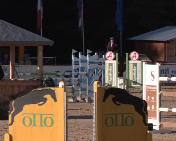 Reitturnier Ranshofen - Braunau am Inn 2024