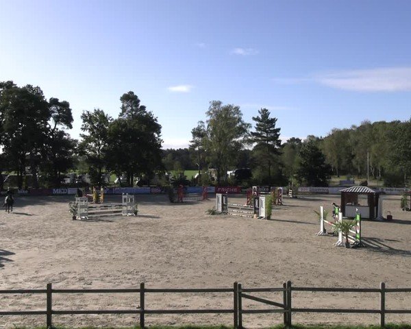 Reitturnier Westergellersen 2024