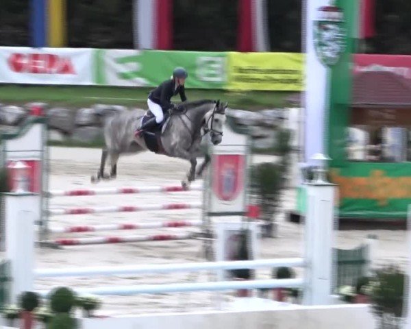 Reitturnier Preding 2024