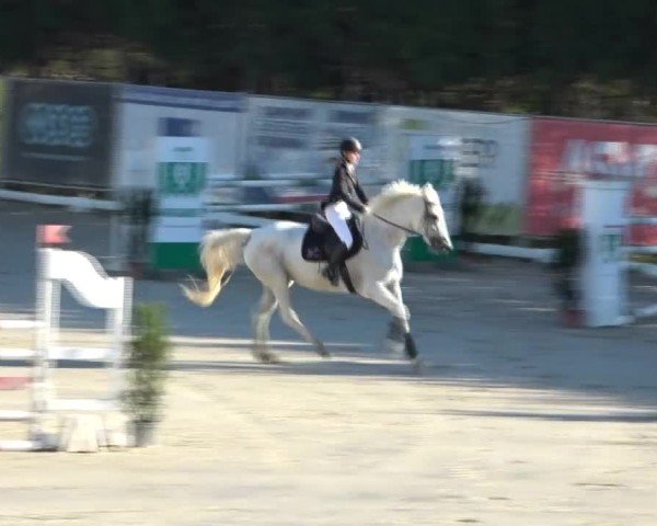 Reitturnier Preding 2024