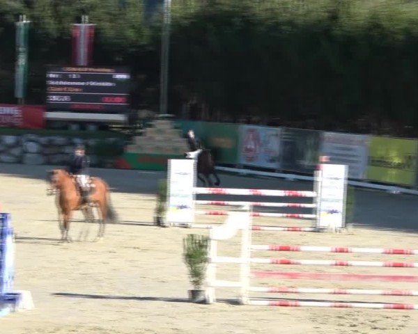 Reitturnier Preding 2024