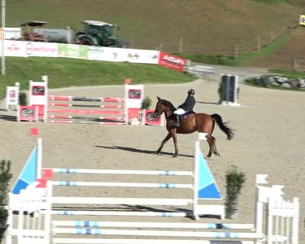 Reitturnier Preding 2024