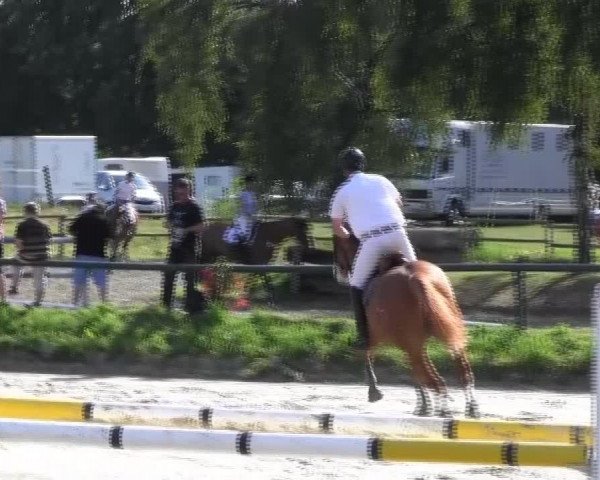 Großes Reit- und Springturnier 2013 des RuF