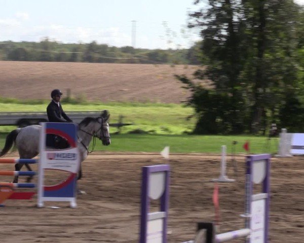 Reitturnier Baitz 2024