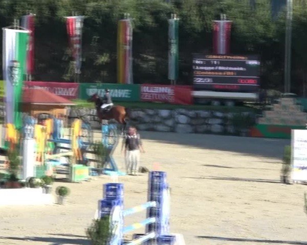 Reitturnier Preding 2024