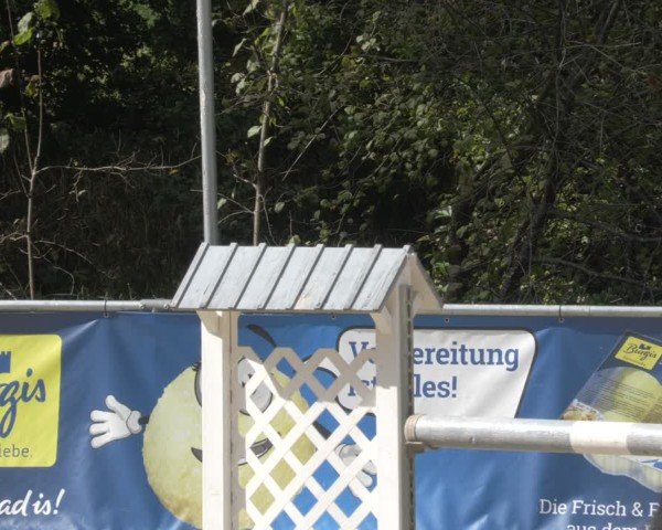 Reitturnier Karlsfeld/Obb. 2024