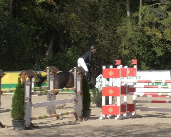 Reitturnier Karlsfeld/Obb. 2024