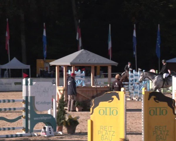 Reitturnier Ranshofen - Braunau am Inn 2024