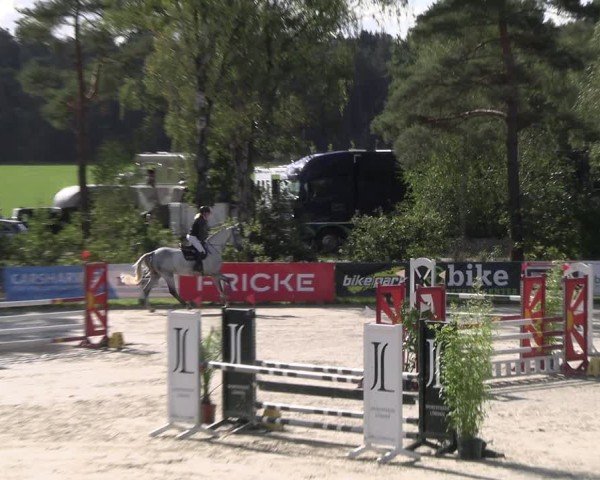Reitturnier Westergellersen 2024
