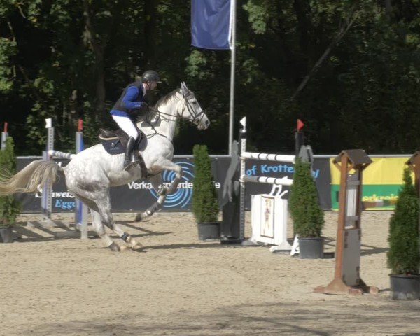 Reitturnier Karlsfeld/Obb. 2024