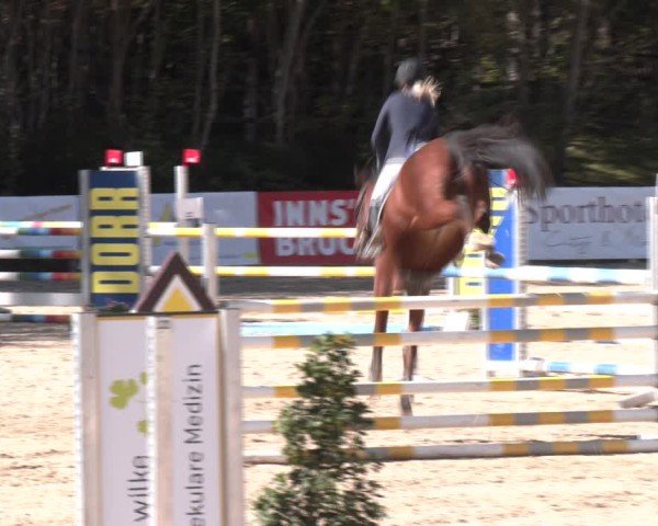 Reitturnier Igls 2024