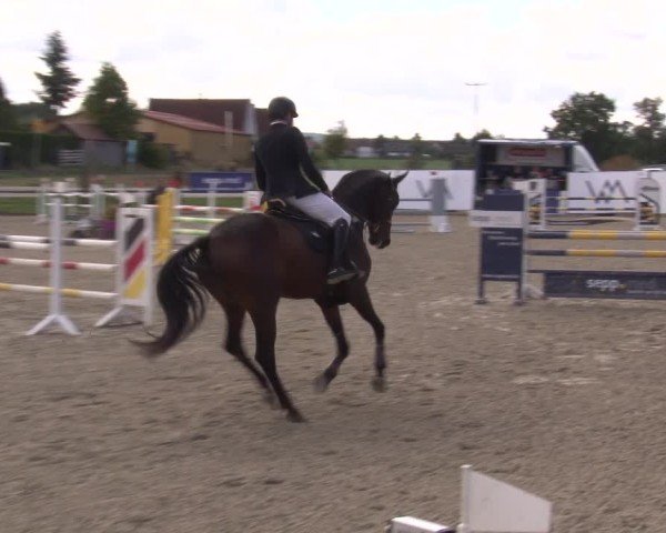 Reitturnier Poxdorf/Ofr 2024