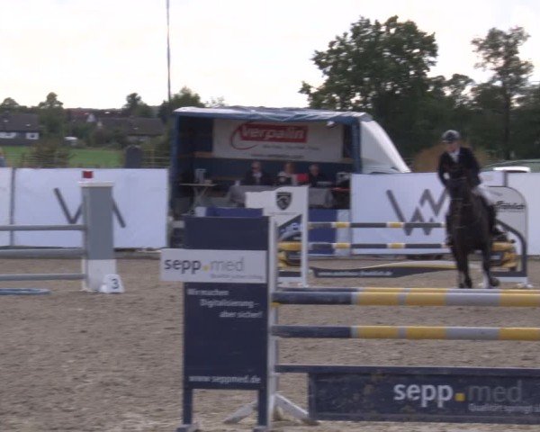 Reitturnier Poxdorf/Ofr 2024