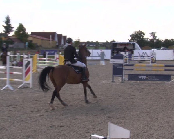 Reitturnier Poxdorf/Ofr 2024