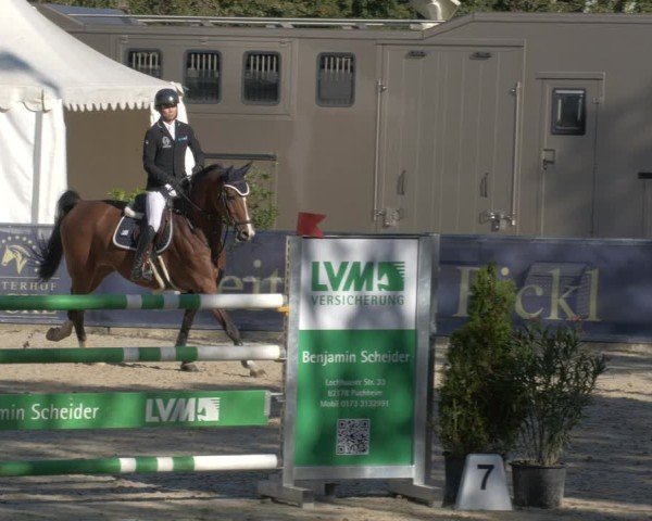 Reitturnier Karlsfeld/Obb. 2024