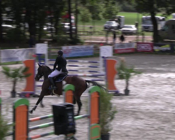 Reitturnier Westergellersen 2024