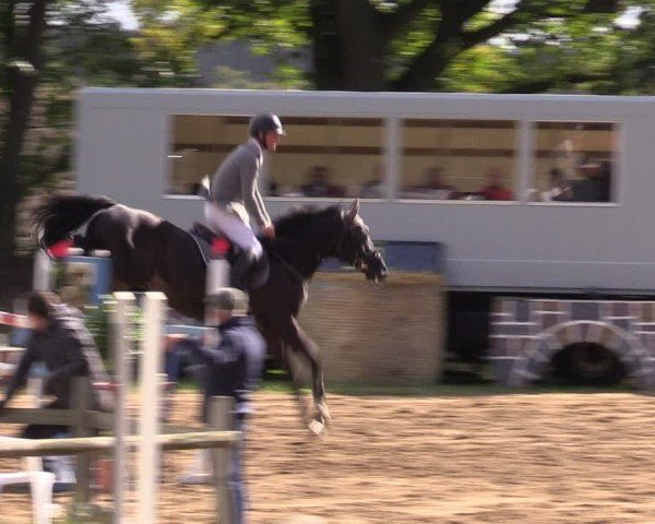 Reitturnier Baitz 2024