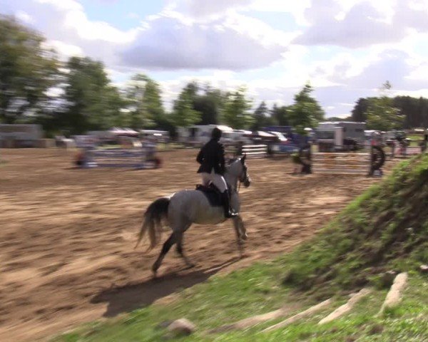 Reitturnier Baitz 2024