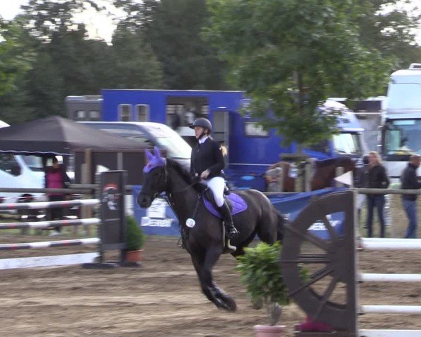 Reitturnier Baitz 2024