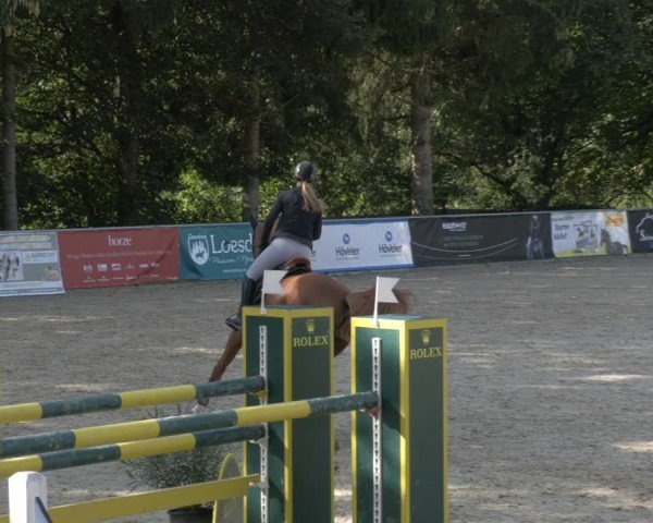 Reitturnier Karlsfeld/Obb. 2024
