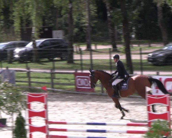 Reitturnier Westergellersen 2024