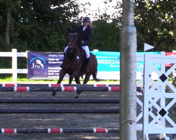 Reitturnier Mildstedt - Jumping Team Nord - 2024
