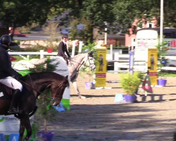 Reitturnier Mildstedt - Jumping Team Nord - 2024