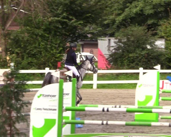 Reitturnier Mildstedt - Jumping Team Nord - 2024