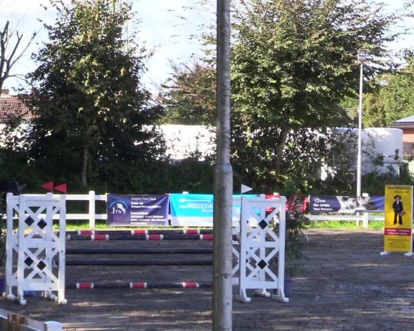 Reitturnier Mildstedt - Jumping Team Nord - 2024