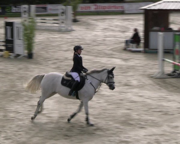 Reitturnier Westergellersen 2024
