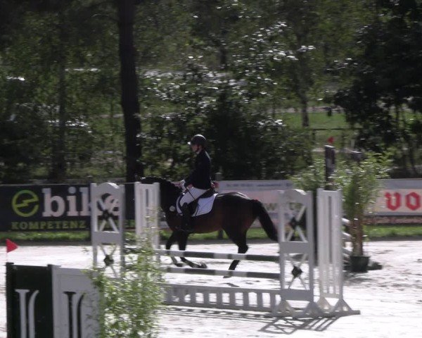 Reitturnier Westergellersen 2024