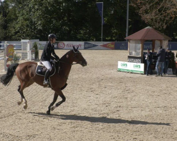 Reitturnier Karlsfeld/Obb. 2024