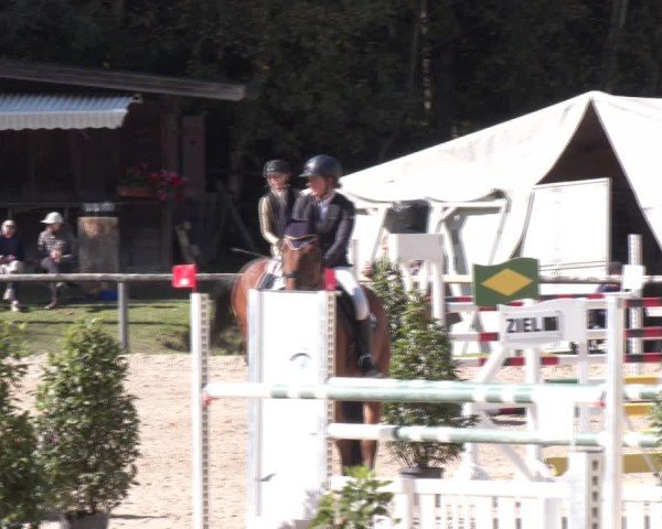 Reitturnier Igls 2024