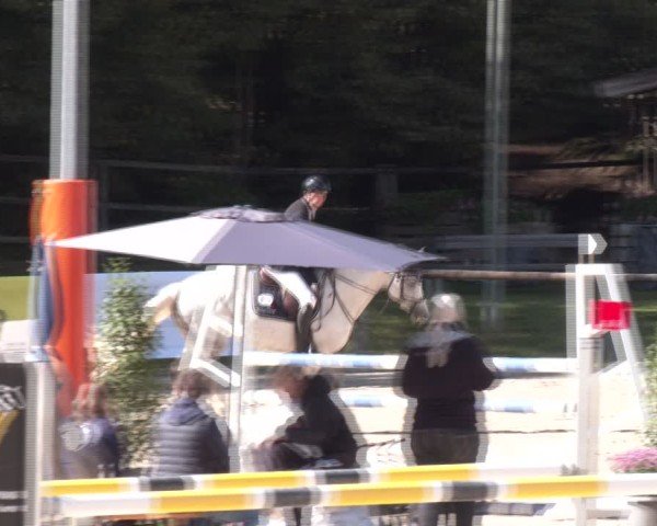 Reitturnier Igls 2024