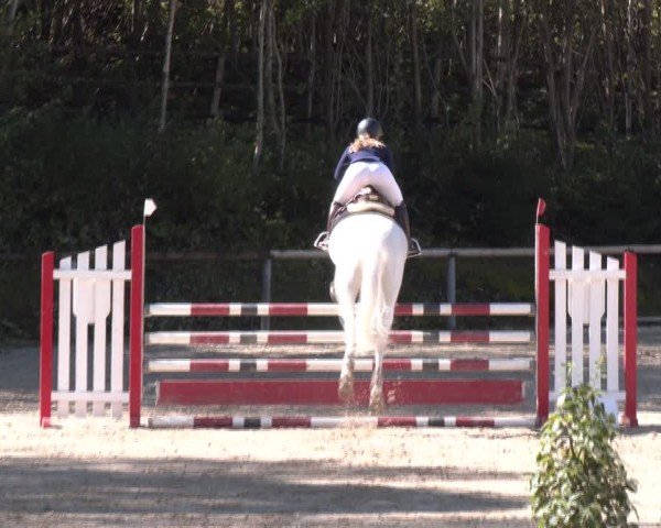 Reitturnier Igls 2024