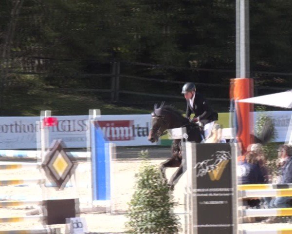 Reitturnier Igls 2024