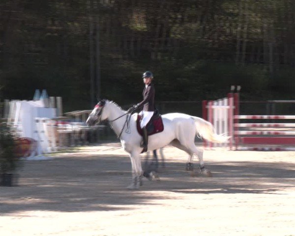Reitturnier Igls 2024