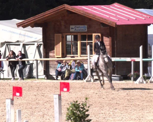 Reitturnier Igls 2024