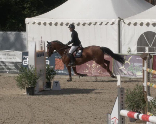 Reitturnier Karlsfeld/Obb. 2024
