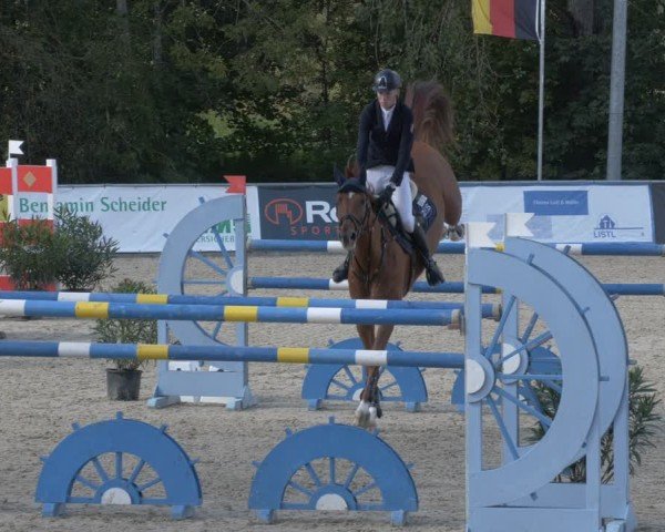 Reitturnier Karlsfeld/Obb. 2024