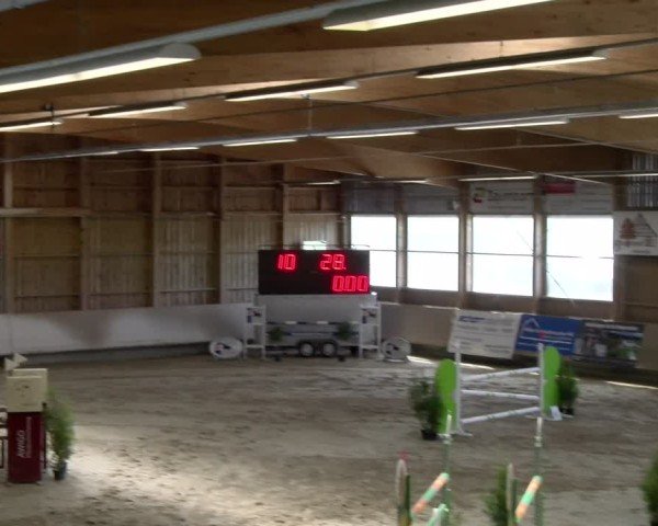 Reitturnier Winterthur 2024