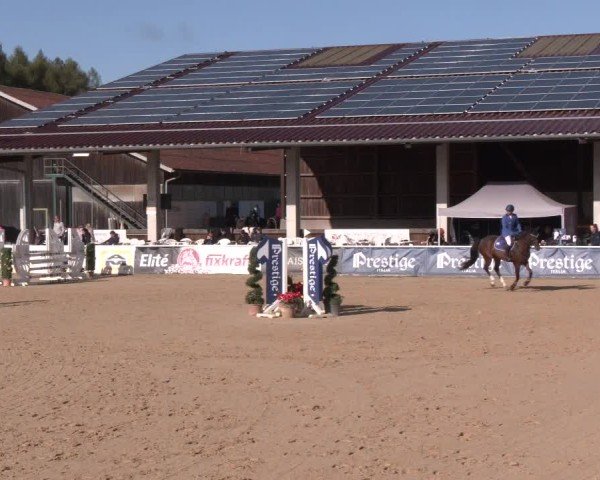 Reitturnier Ranshofen - Braunau am Inn 2024