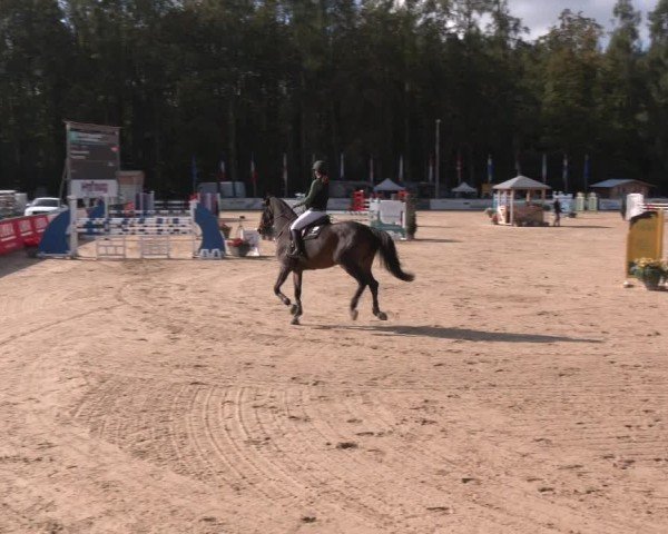 Reitturnier Ranshofen - Braunau am Inn 2024