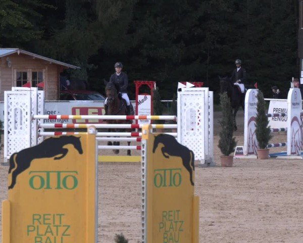Reitturnier Ranshofen - Braunau am Inn 2024