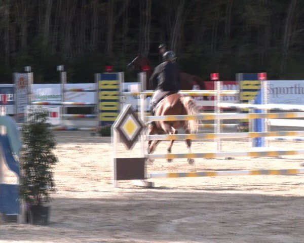 Reitturnier Igls 2024