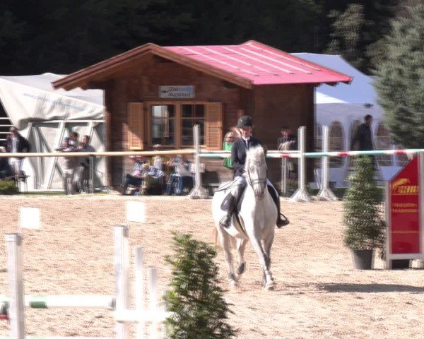 Reitturnier Igls 2024