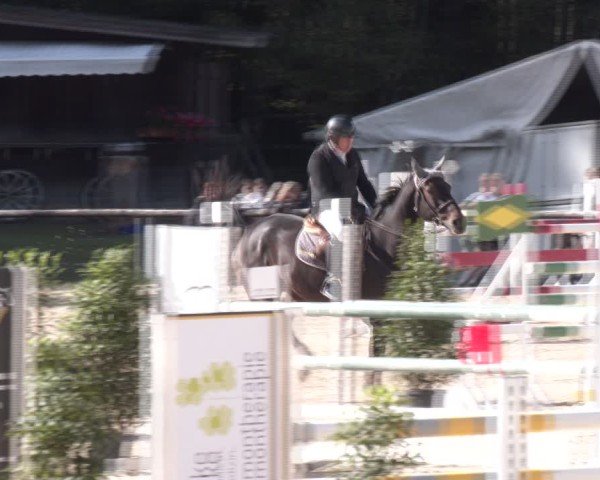 Reitturnier Igls 2024
