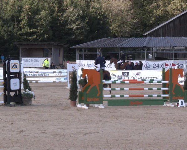 Reitturnier Ranshofen - Braunau am Inn 2024
