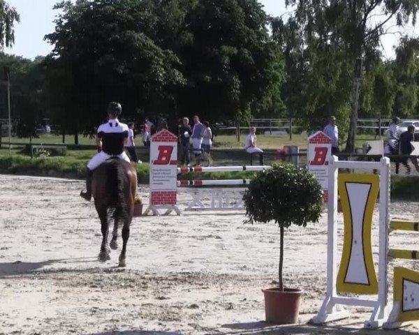 Reitturnier Herbern 2013